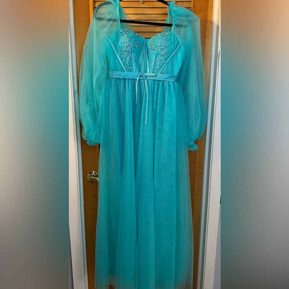 Elegant Blue Sheer Gown